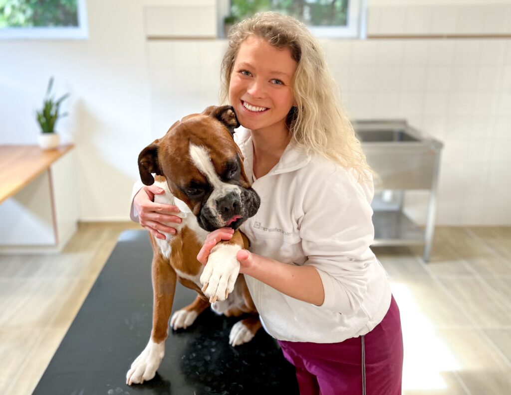 veterinární rehabilitace psa v ordinaci NikiVet